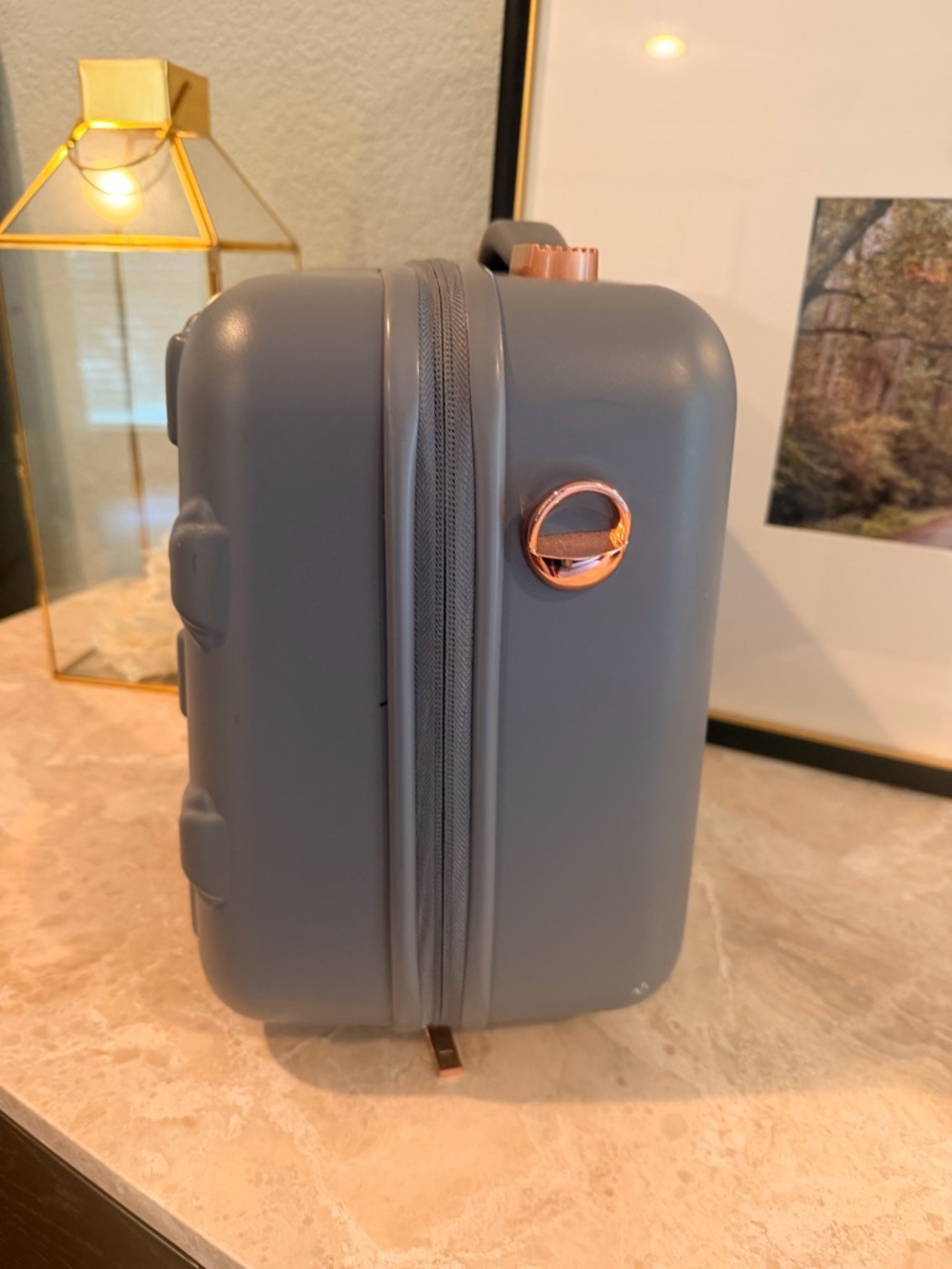 Ted Baker Gray Bow-Embossed Hard Shell Travel Vanity Case with Rose Gold Accent - Picture 6 of 12